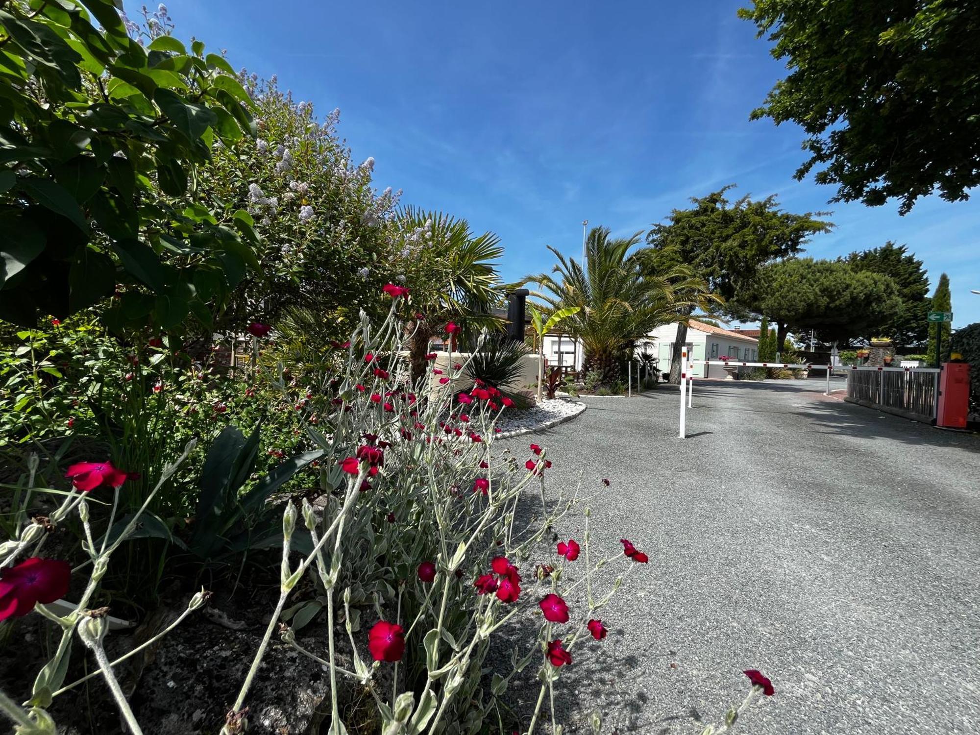 Camping La Chênaie Hotel Les Mathes Exterior foto